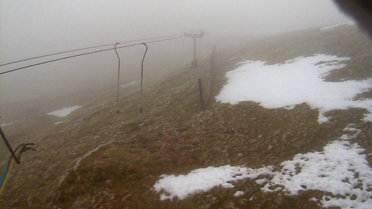 Image from 2021/12/21 for Tow Hut