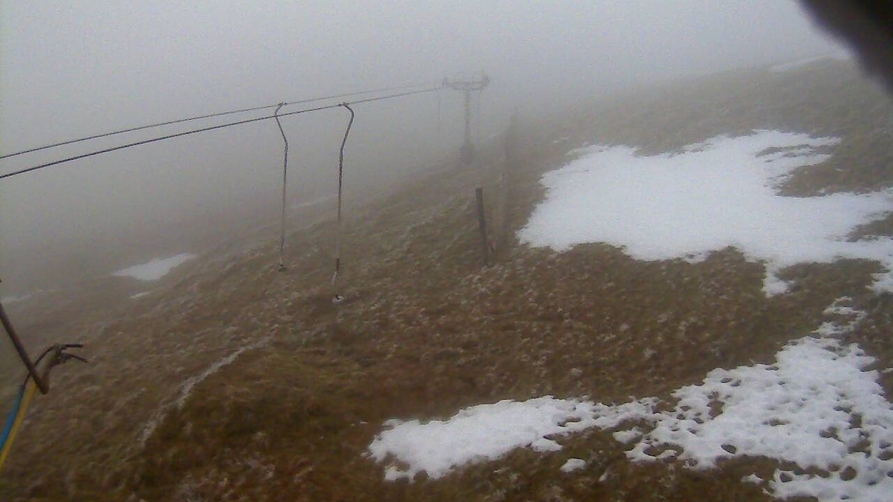 Image from 2021/12/21 for Tow Hut