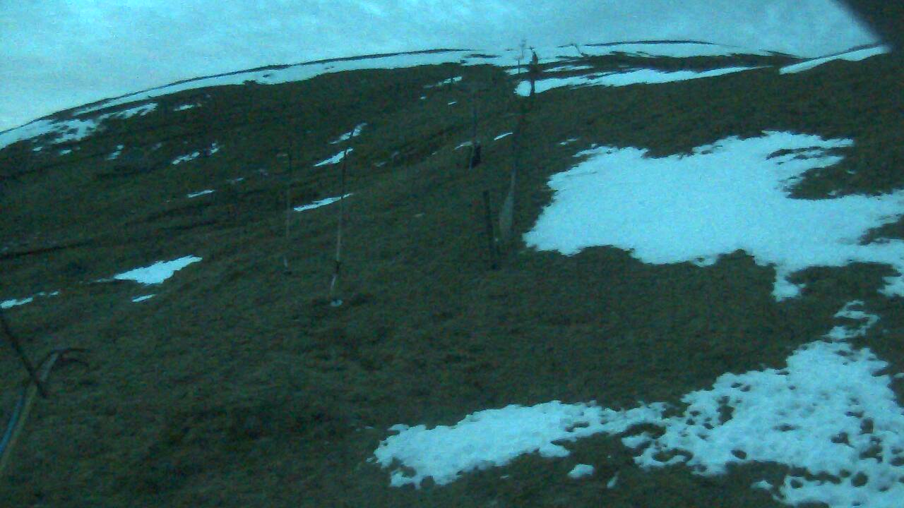 Image from 2021/12/22 for Tow Hut