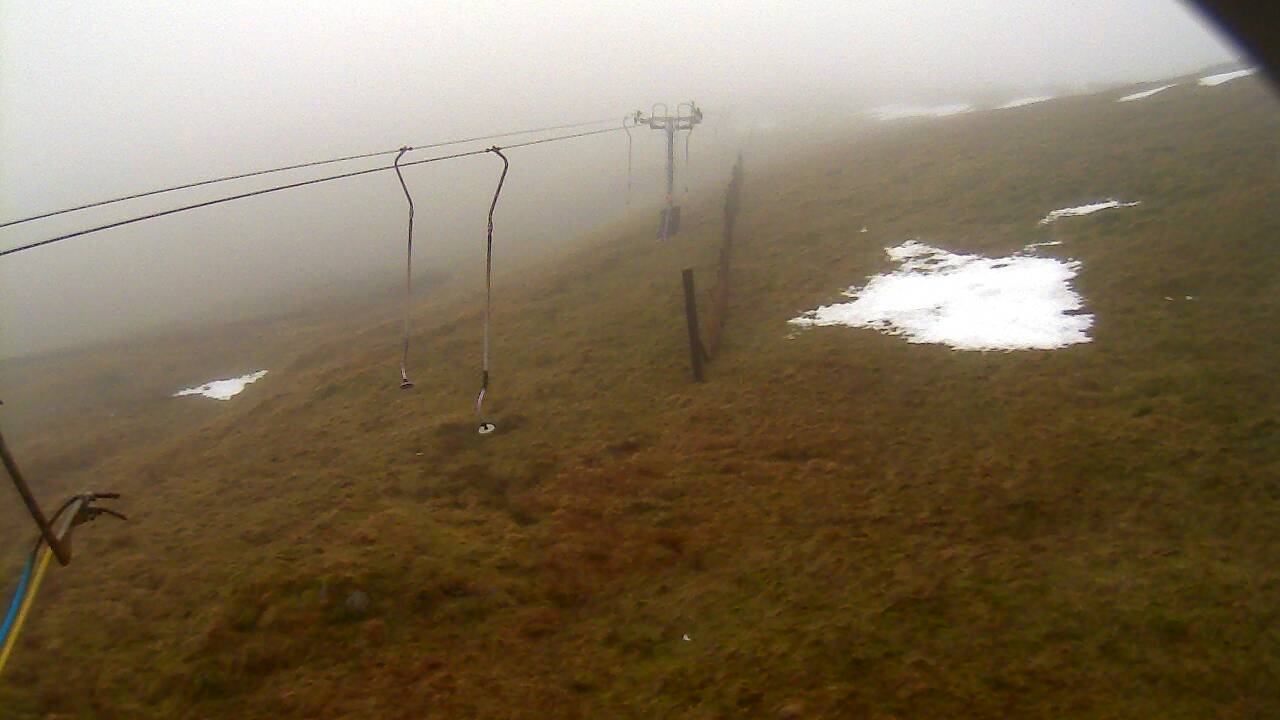 Image from 2021/12/24 for Tow Hut