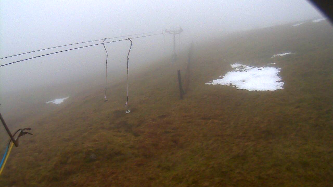 Image from 2021/12/24 for Tow Hut