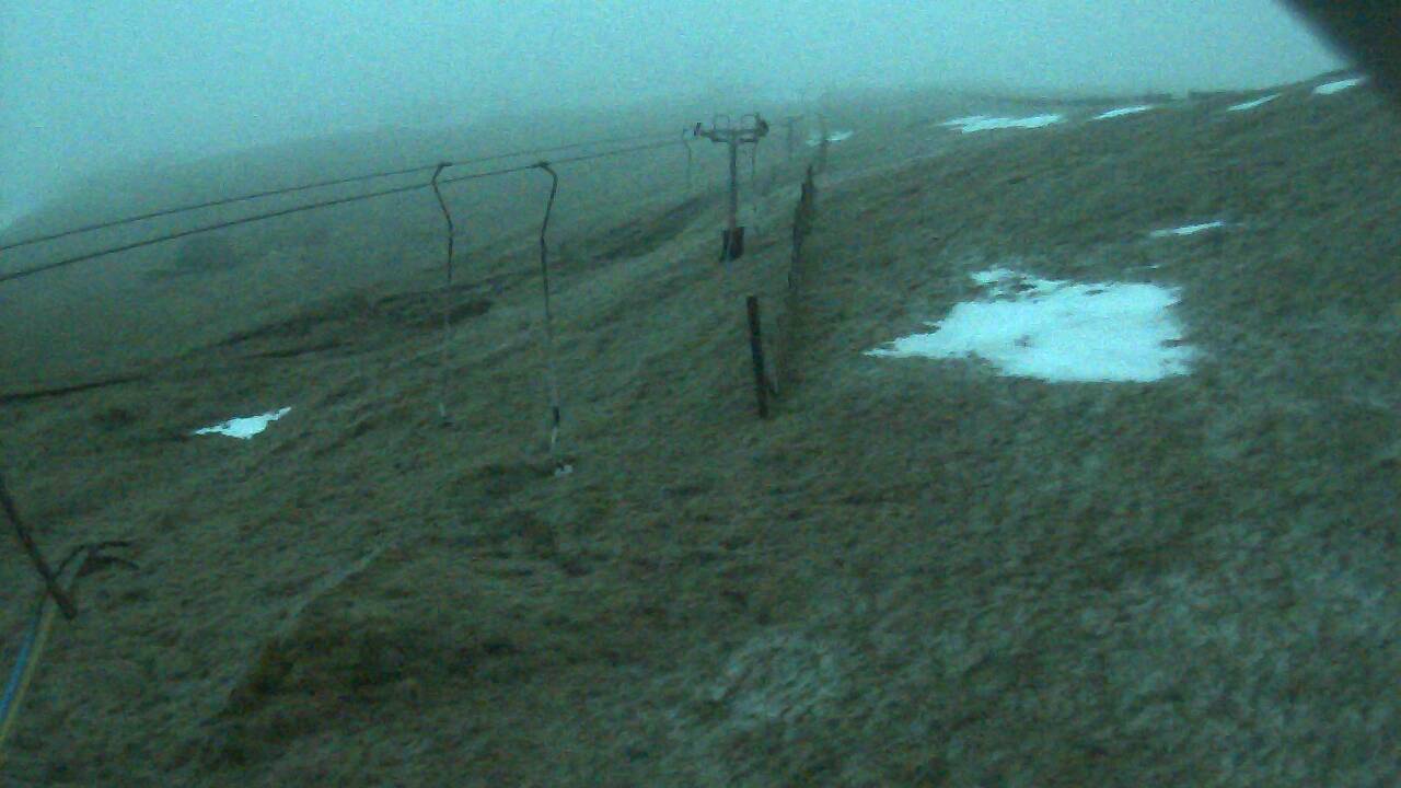 Image from 2021/12/25 for Tow Hut