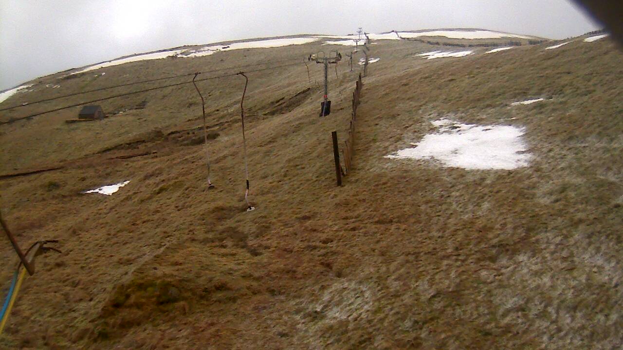 Image from 2021/12/25 for Tow Hut