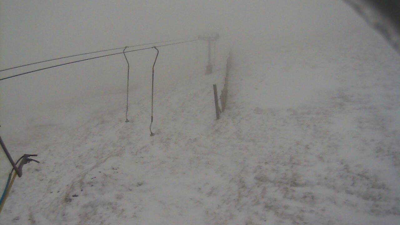 Image from 2021/12/26 for Tow Hut