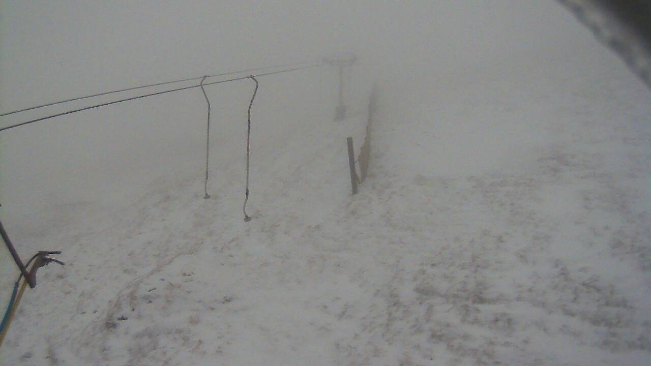 Image from 2021/12/26 for Tow Hut