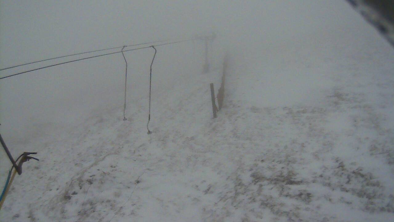 Image from 2021/12/26 for Tow Hut