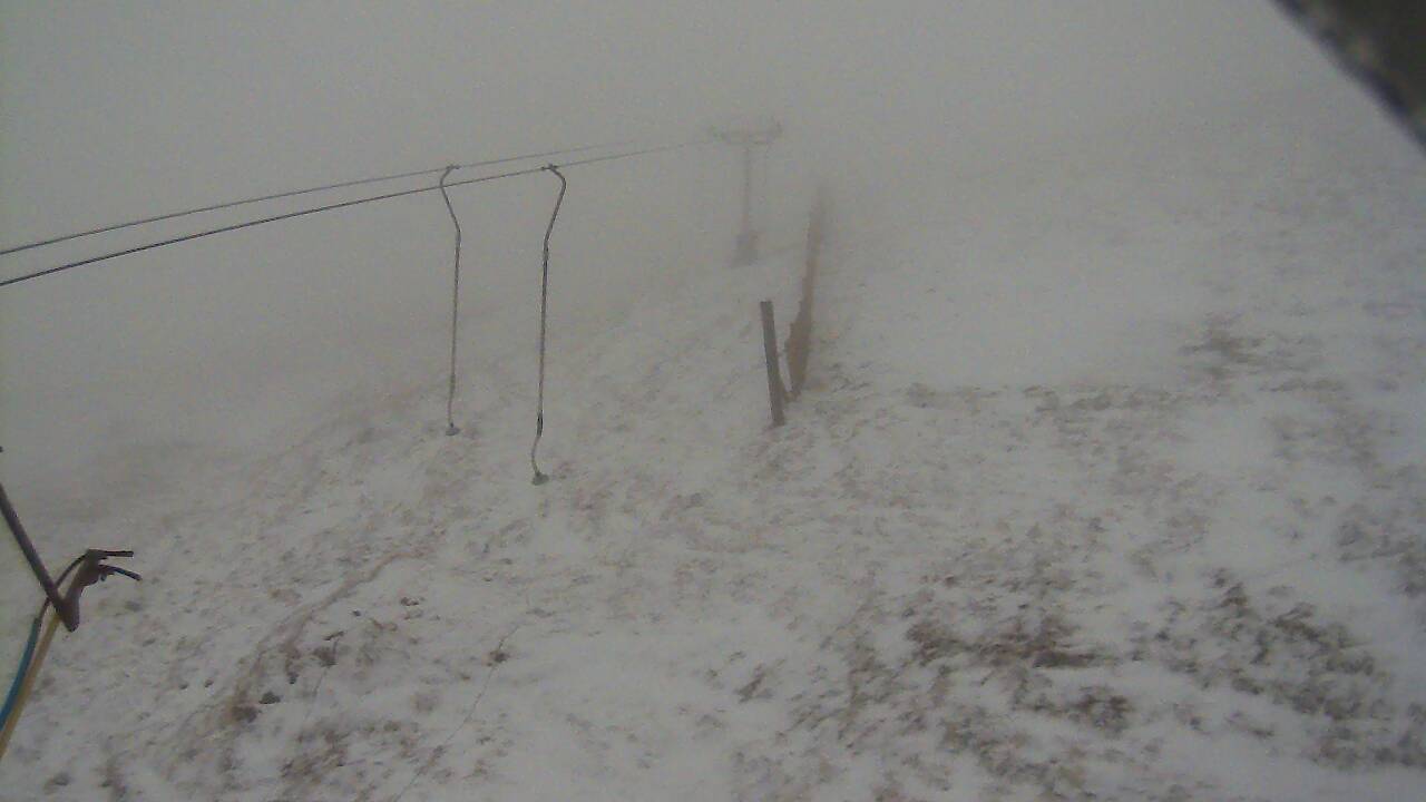 Image from 2021/12/26 for Tow Hut