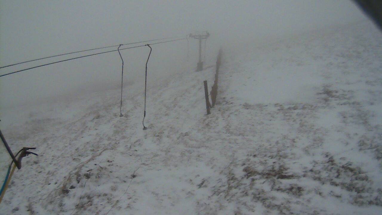 Image from 2021/12/26 for Tow Hut