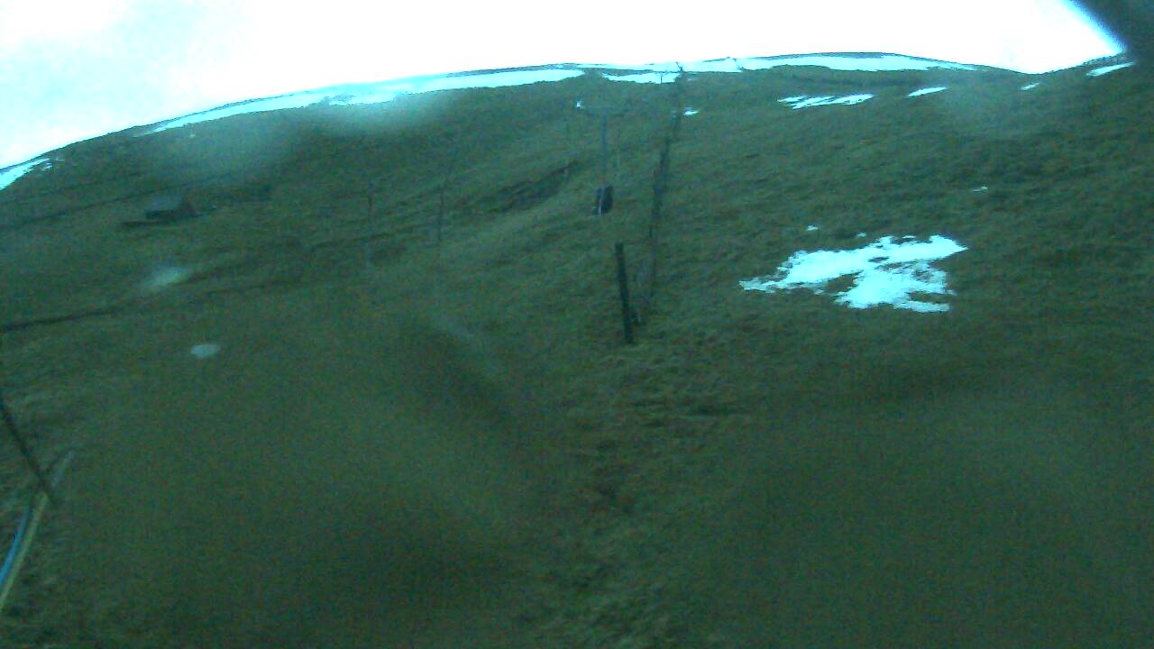 Image from 2021/12/29 for Tow Hut