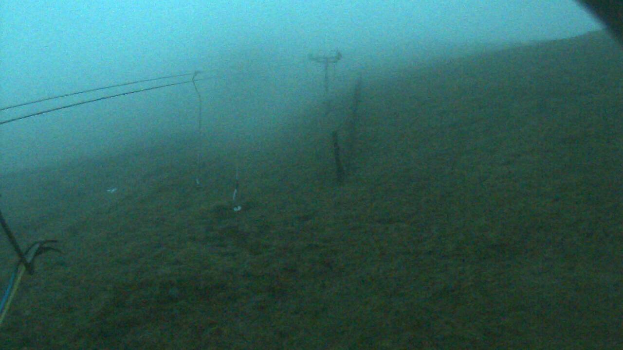 Image from 2021/12/30 for Tow Hut