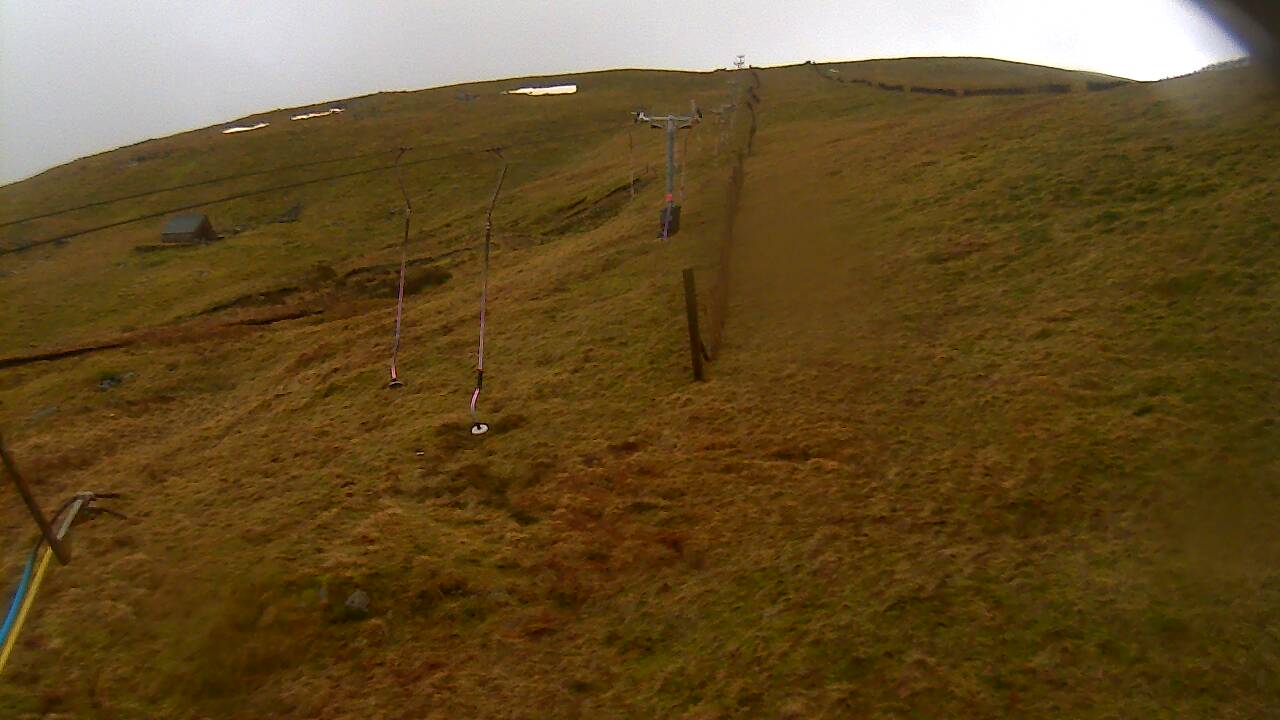 Image from 2022/01/02 for Tow Hut