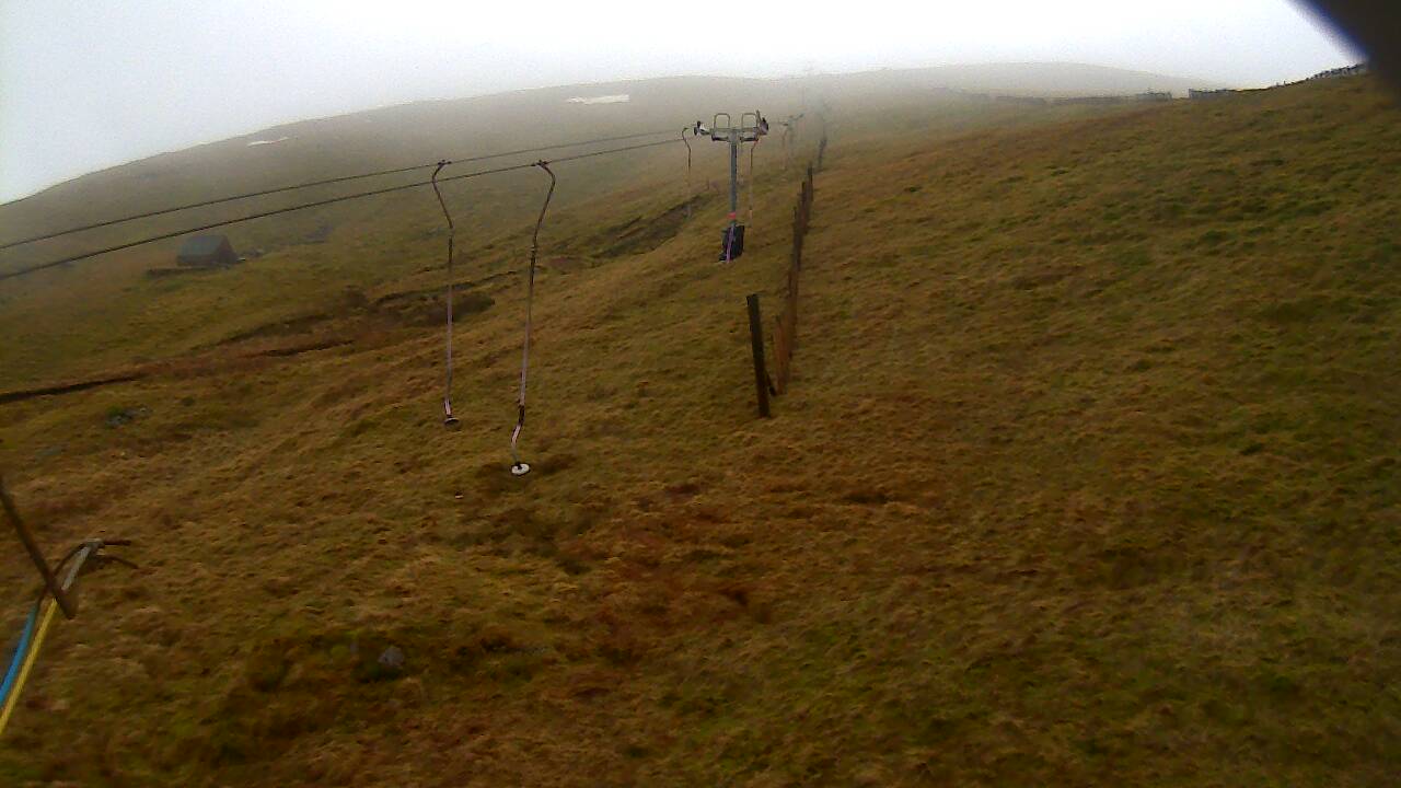 Image from 2022/01/03 for Tow Hut