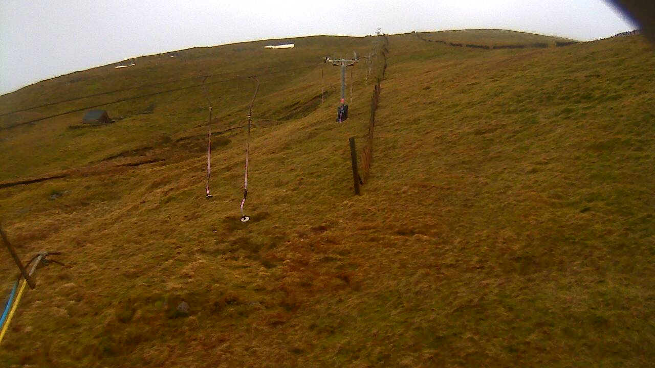 Image from 2022/01/03 for Tow Hut