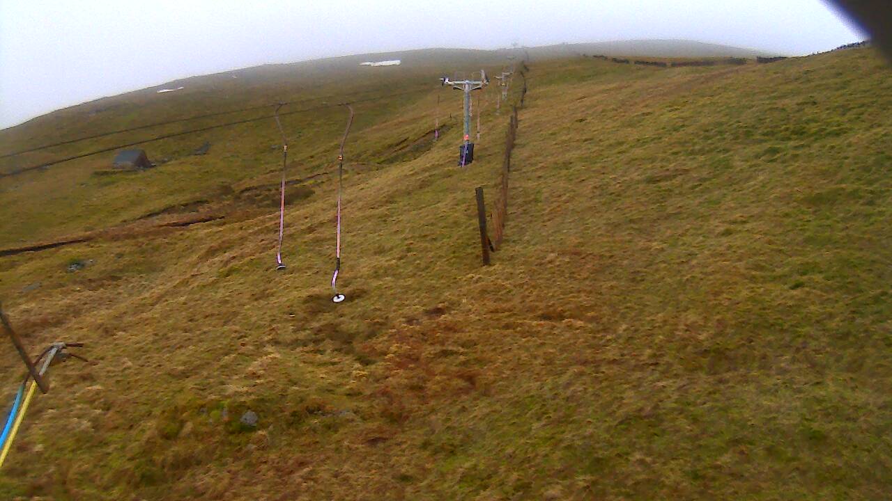 Image from 2022/01/03 for Tow Hut