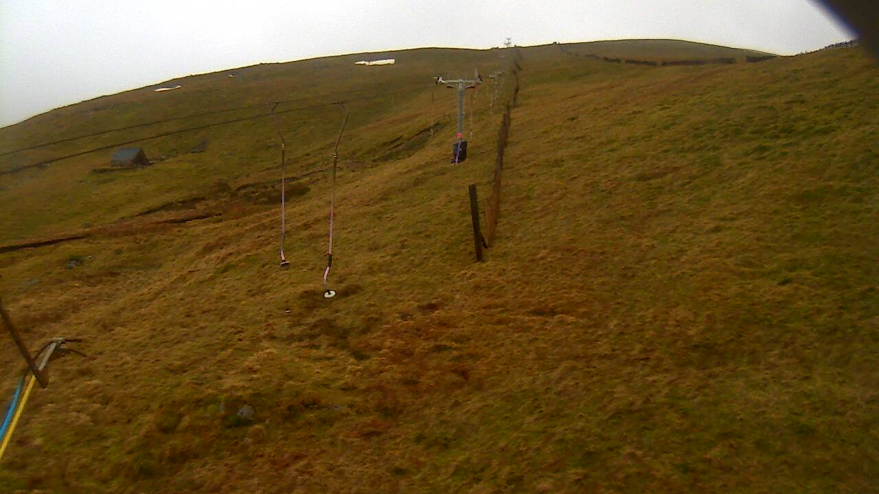 Image from 2022/01/03 for Tow Hut