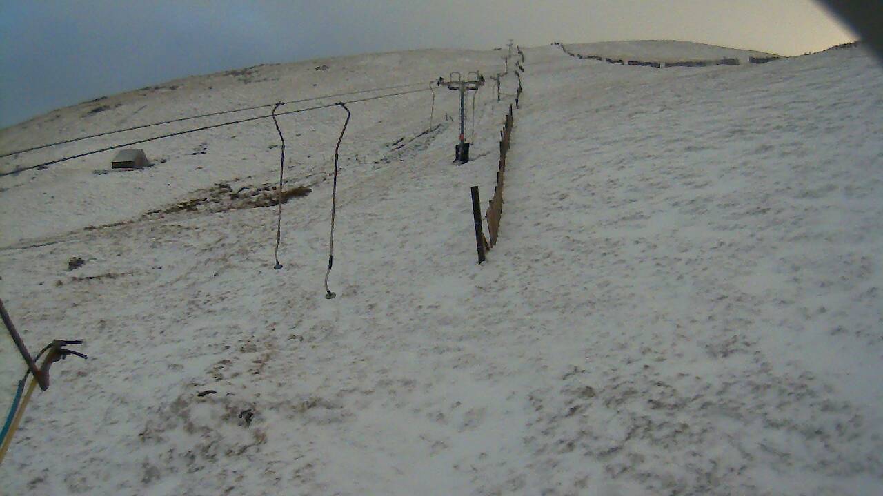 Image from 2022/01/04 for Tow Hut