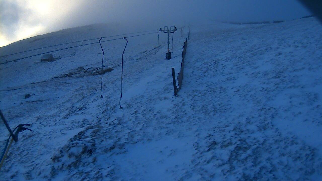 Image from 2022/01/05 for Tow Hut