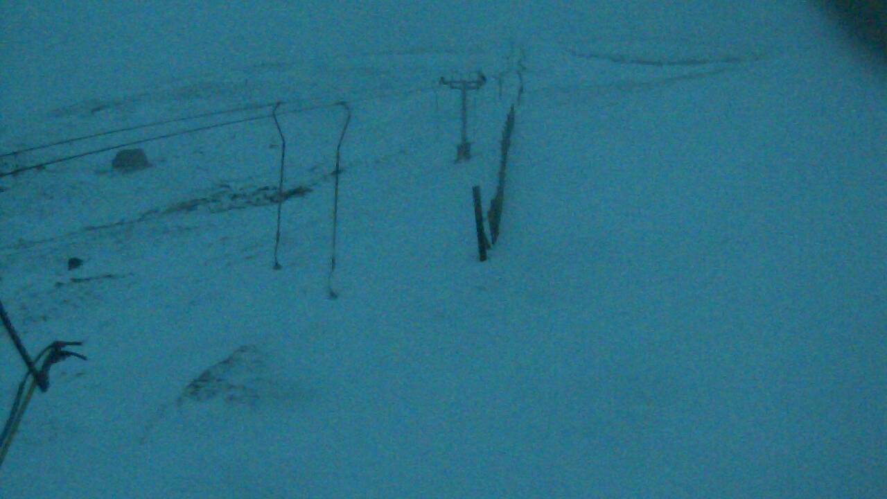 Image from 2022/01/08 for Tow Hut