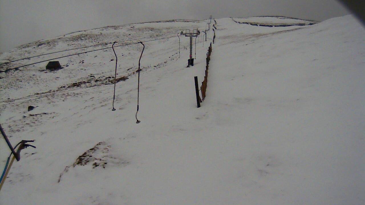 Image from 2022/01/08 for Tow Hut