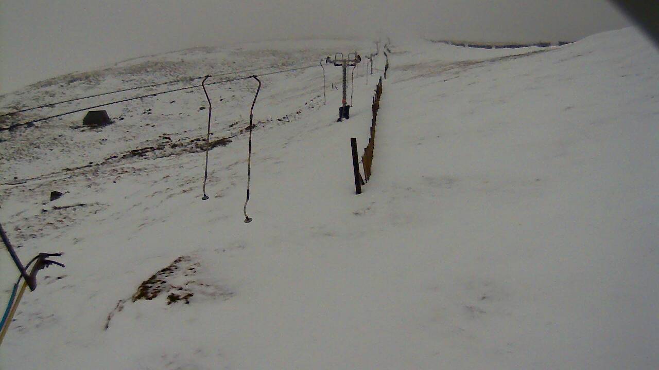 Image from 2022/01/08 for Tow Hut