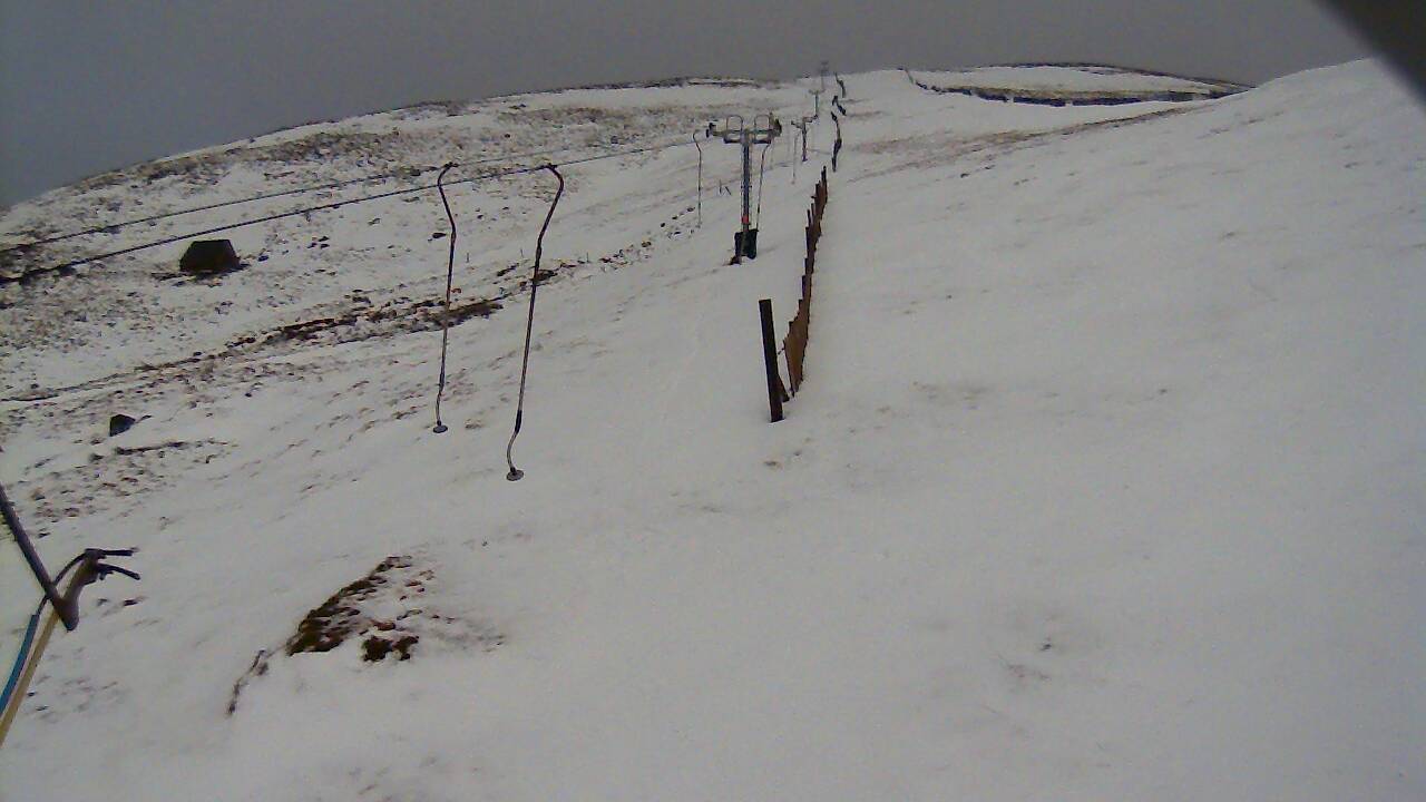 Image from 2022/01/08 for Tow Hut