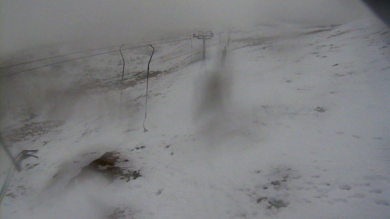 Image from 2022/01/10 for Tow Hut