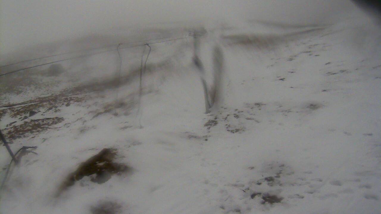 Image from 2022/01/10 for Tow Hut