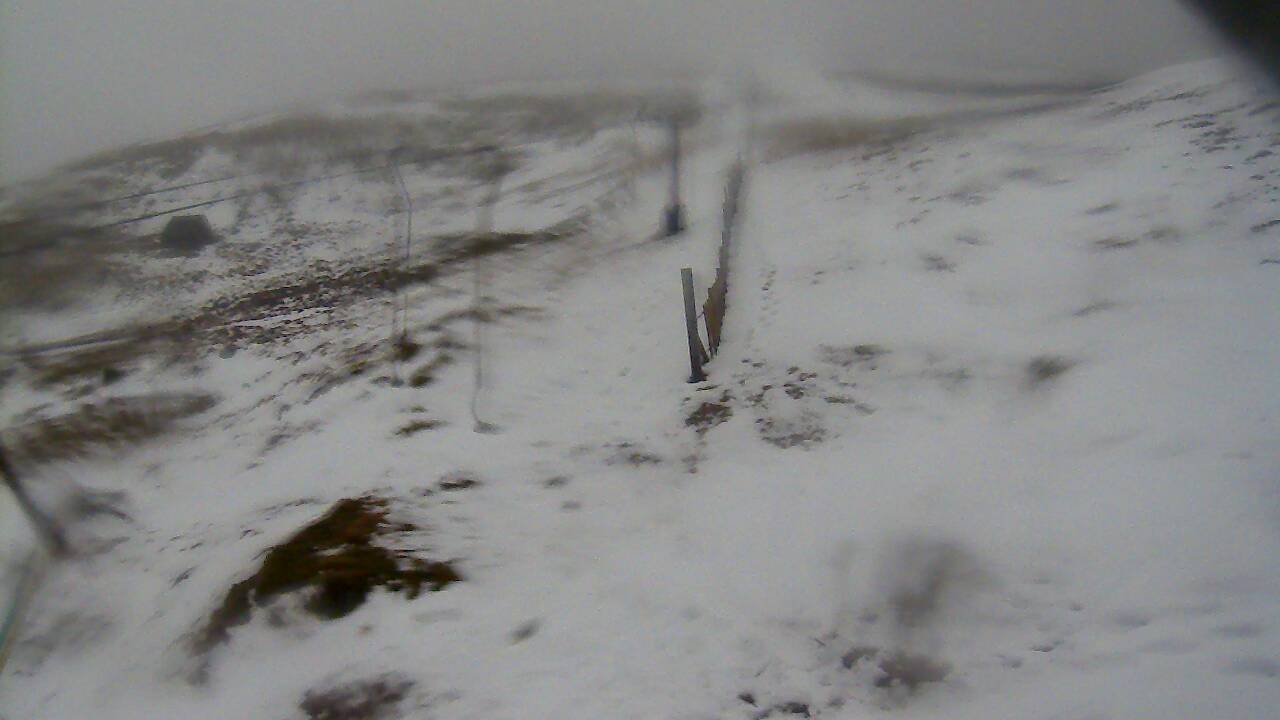 Image from 2022/01/10 for Tow Hut