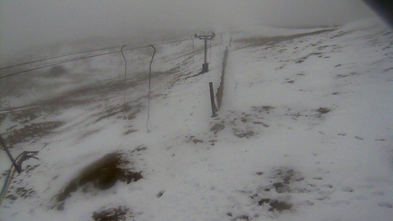 Image from 2022/01/10 for Tow Hut