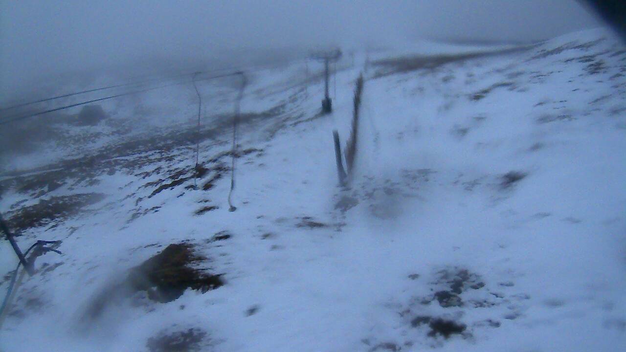 Image from 2022/01/10 for Tow Hut