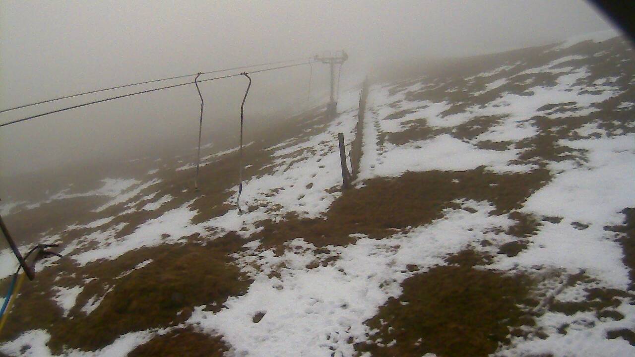 Image from 2022/01/12 for Tow Hut