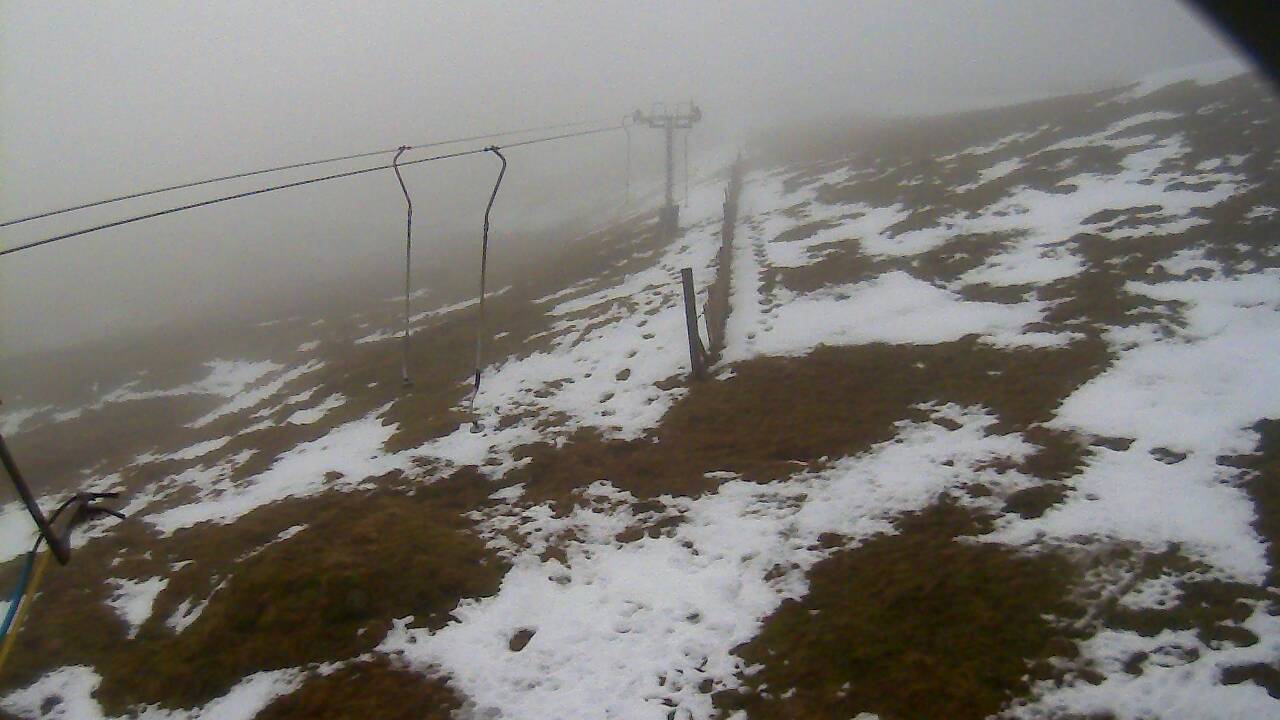 Image from 2022/01/12 for Tow Hut