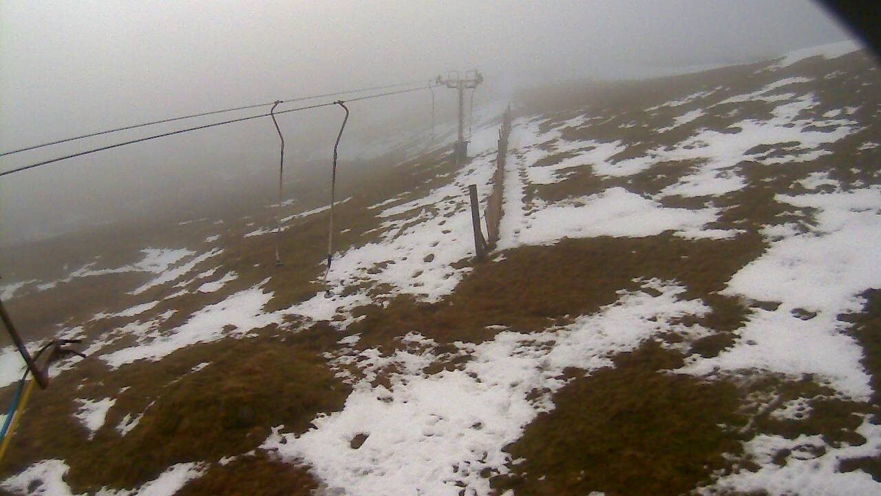 Image from 2022/01/12 for Tow Hut