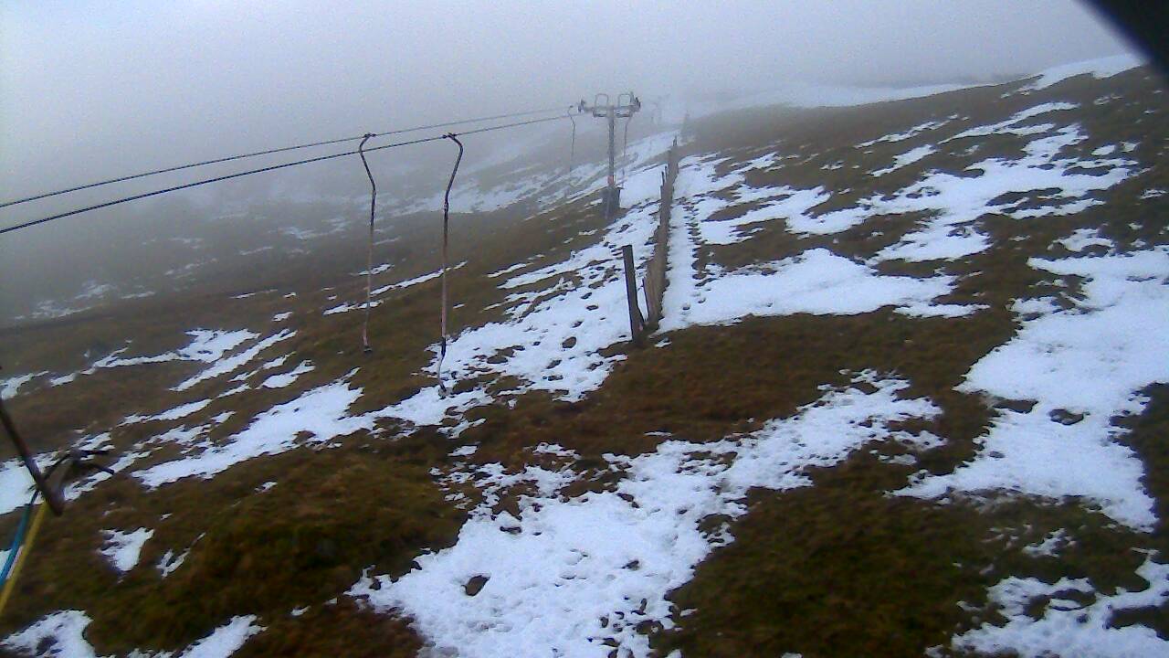 Image from 2022/01/12 for Tow Hut