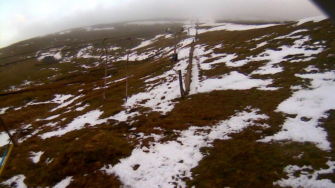 Image from 2022/01/12 for Tow Hut