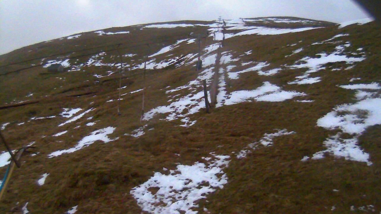 Image from 2022/01/15 for Tow Hut