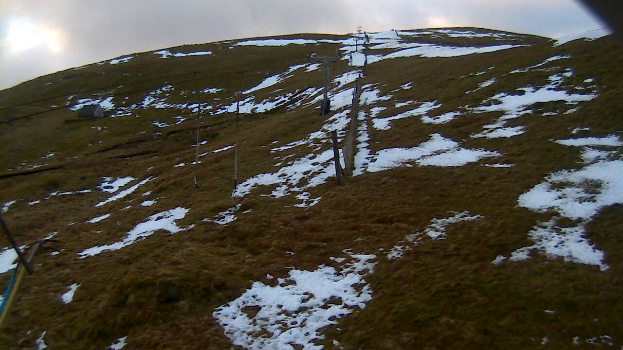 Image from 2022/01/15 for Tow Hut