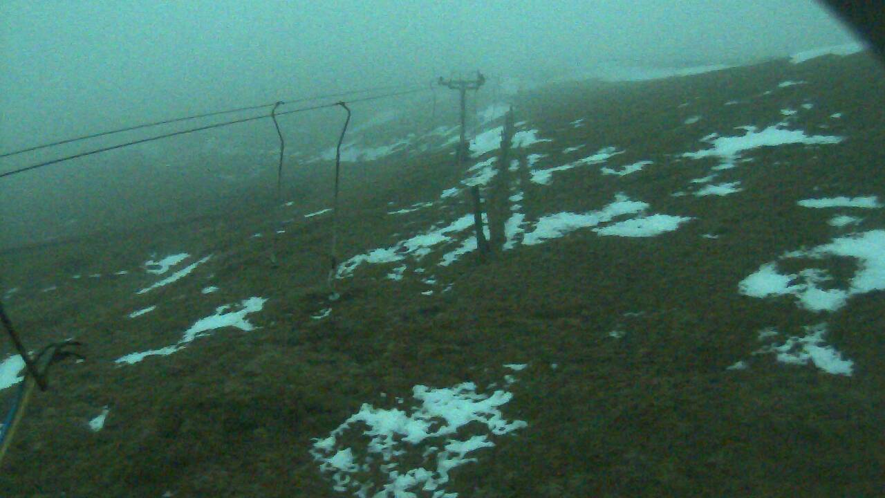 Image from 2022/01/16 for Tow Hut