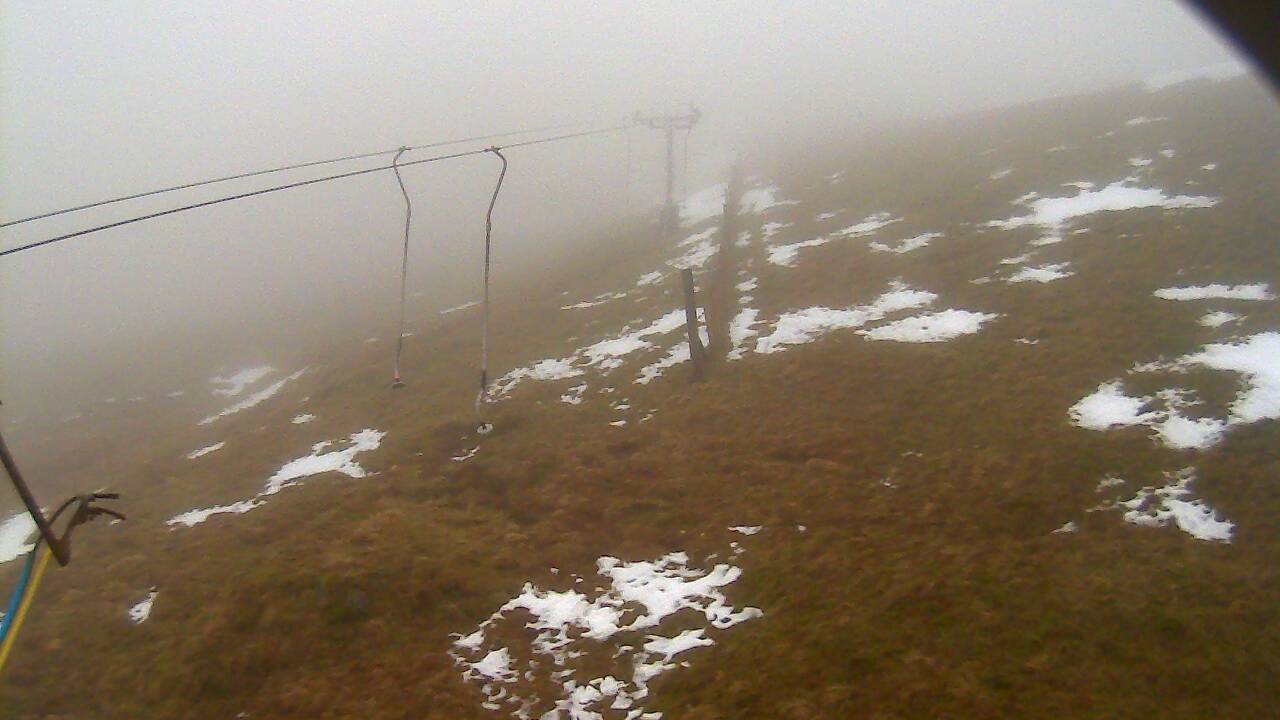 Image from 2022/01/16 for Tow Hut