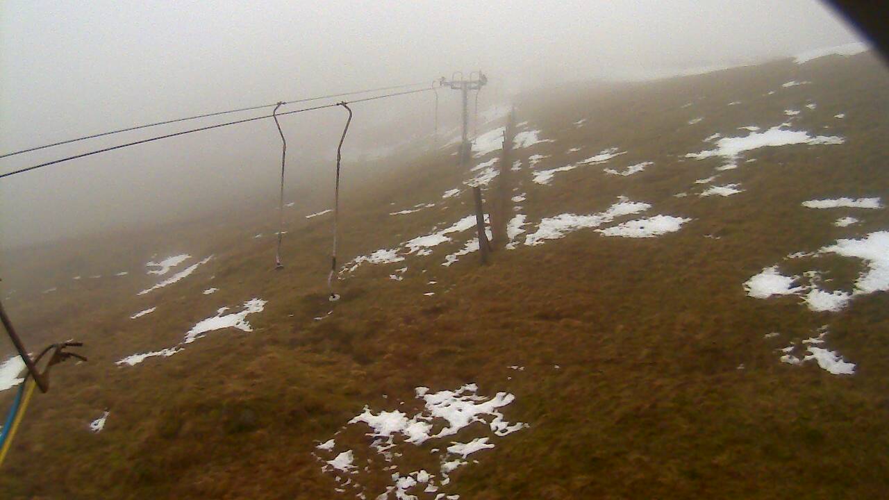 Image from 2022/01/16 for Tow Hut