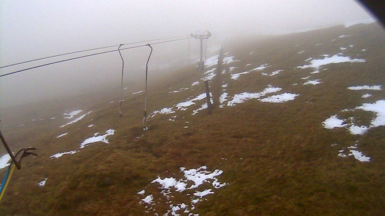 Image from 2022/01/16 for Tow Hut