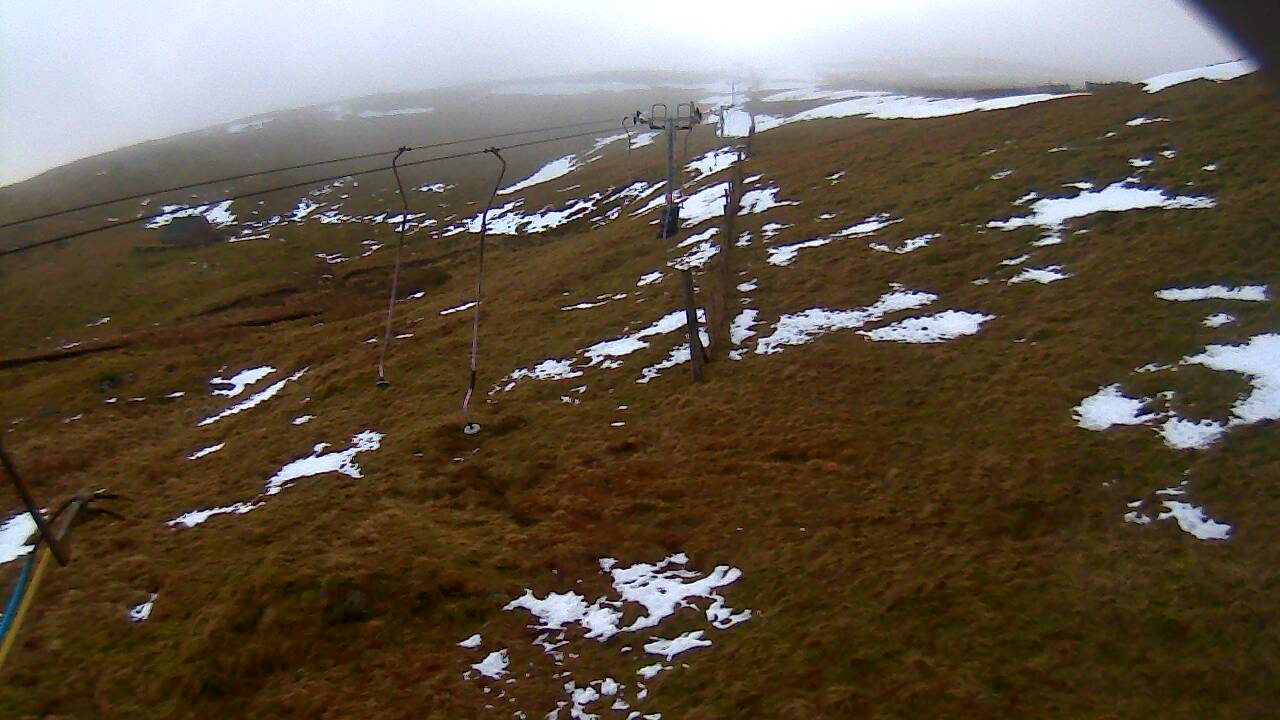 Image from 2022/01/16 for Tow Hut