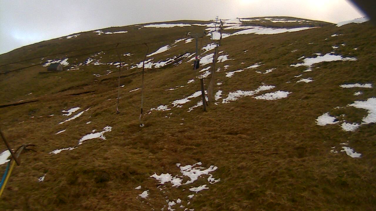 Image from 2022/01/18 for Tow Hut