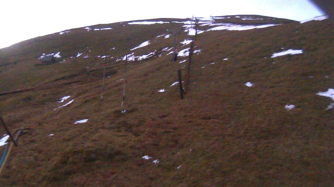 Image from 2022/01/19 for Tow Hut