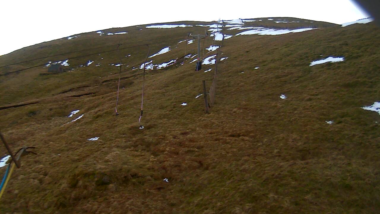 Image from 2022/01/19 for Tow Hut