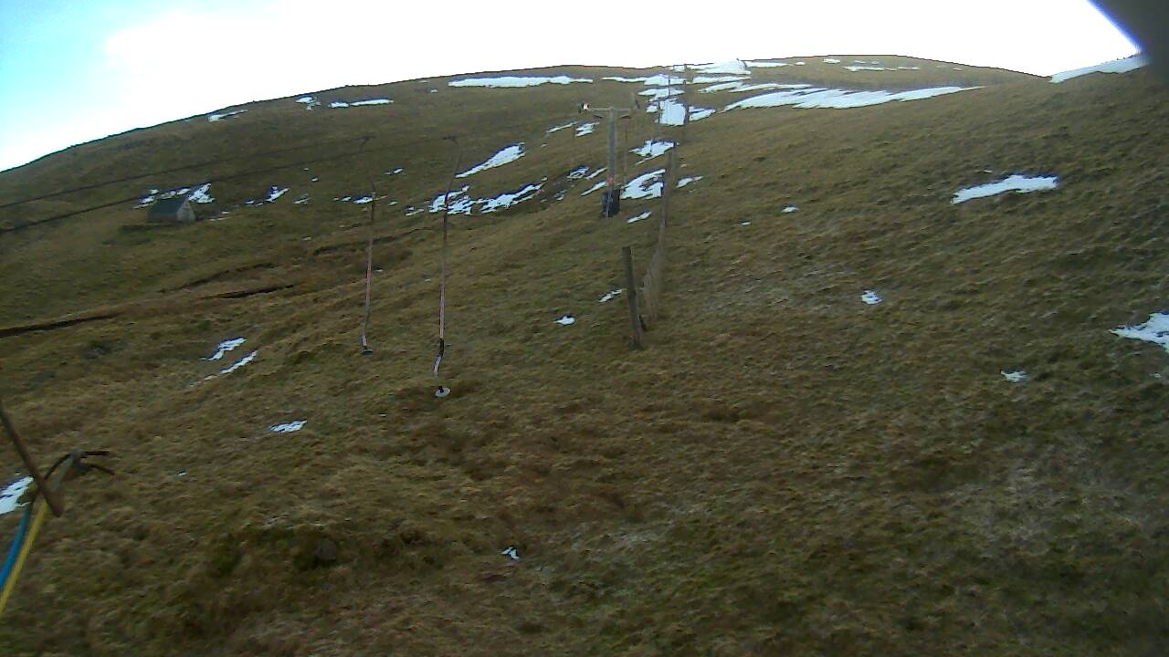 Image from 2022/01/20 for Tow Hut