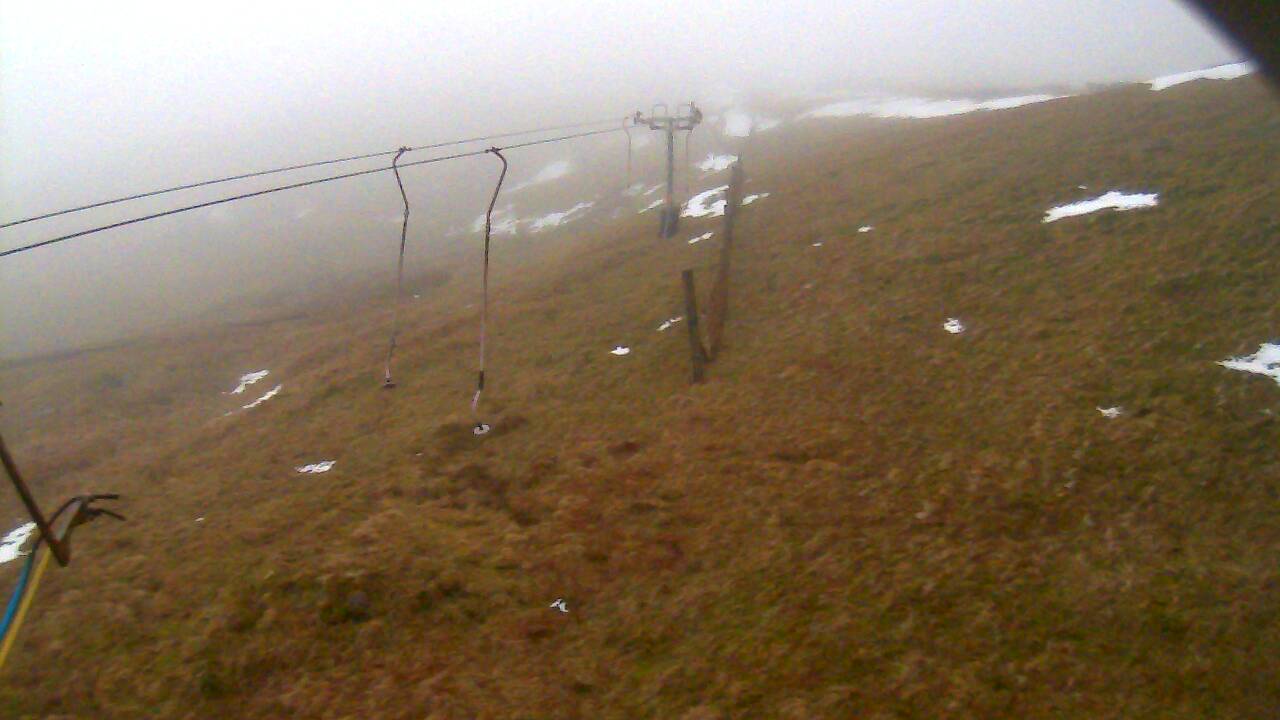 Image from 2022/01/21 for Tow Hut