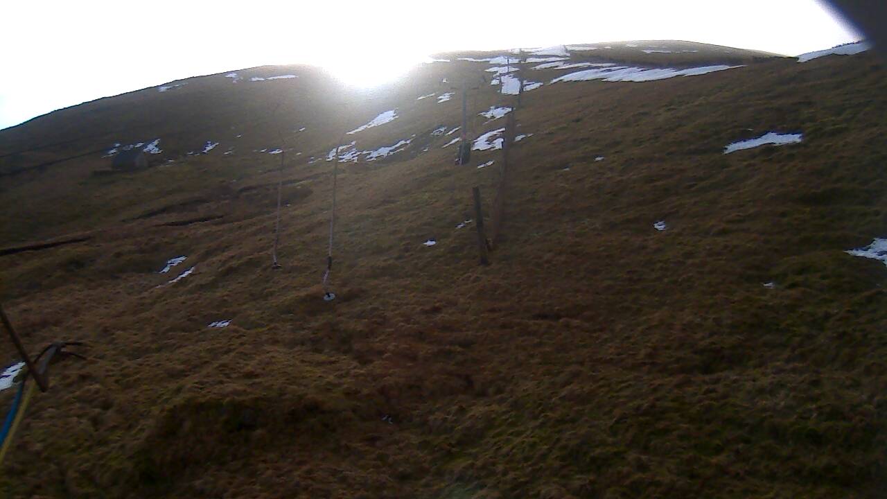 Image from 2022/01/21 for Tow Hut