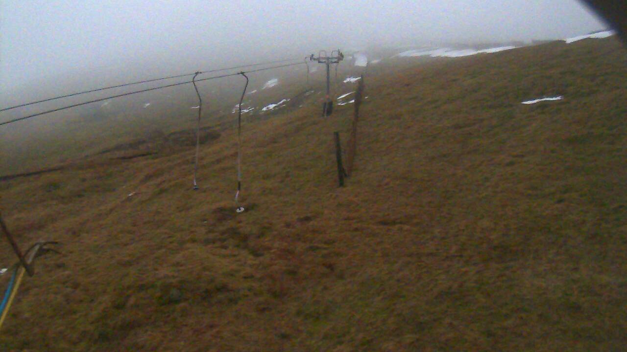 Image from 2022/01/23 for Tow Hut