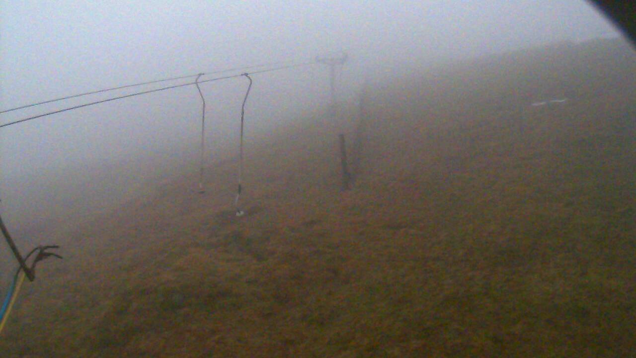 Image from 2022/01/24 for Tow Hut